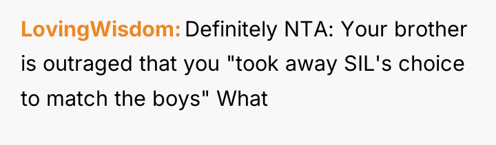 LovingWisdom Definitely NTA: Your brother is outraged that you "took...