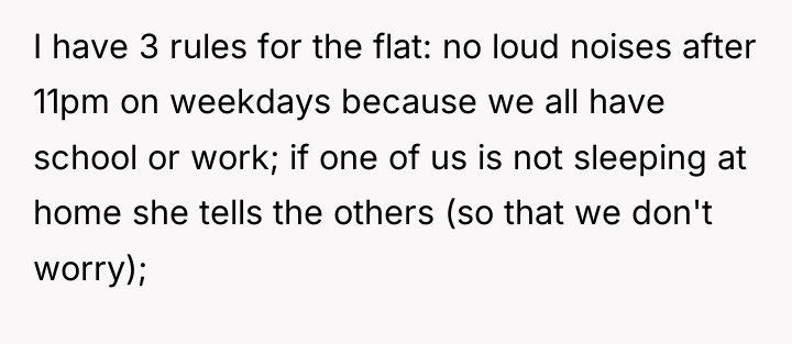 I have 3 rules for the flat: no loud noises...