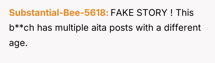 Substantial-Bee-5618 FAKE STORY ! This b**ch has multiple aita posts...