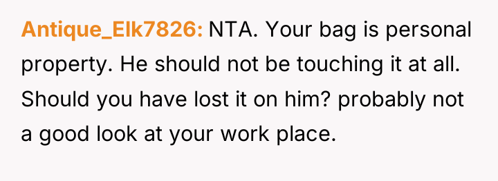 Antique_Elk7826 NTA. Your bag is personal property. He should not...