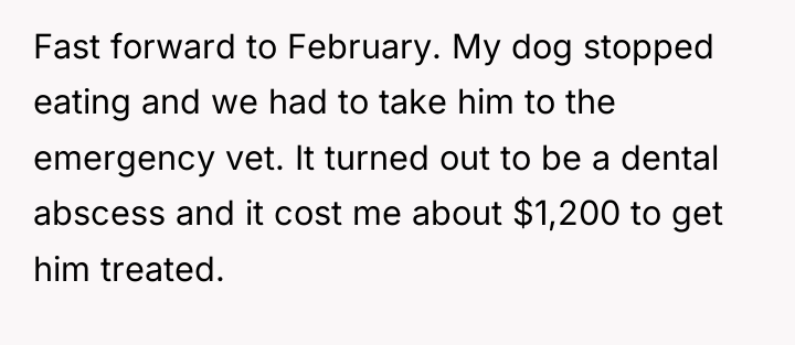Fast forward to February. My dog stopped eating and we...