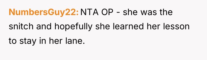 NumbersGuy22 NTA OP - she was the snitch and hopefully...