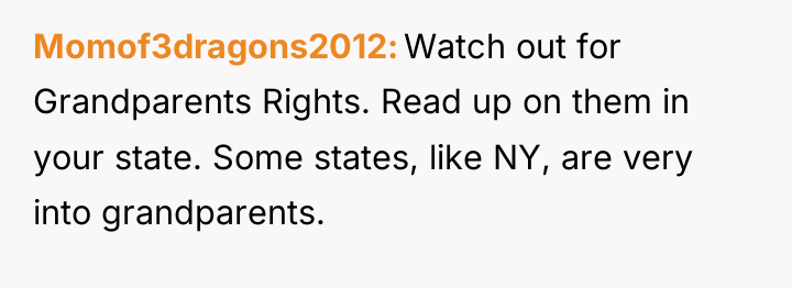 Momof3dragons2012 Watch out for Grandparents Rights. Read up on them...