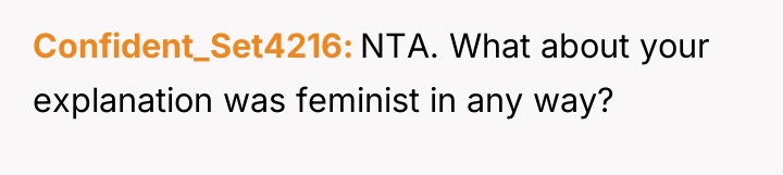 Confident_Set4216 NTA. What about your explanation was feminist in any...