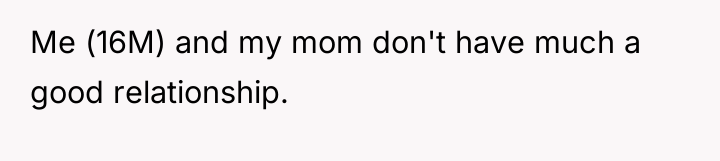 Me (16M) and my mom don't have much a good...