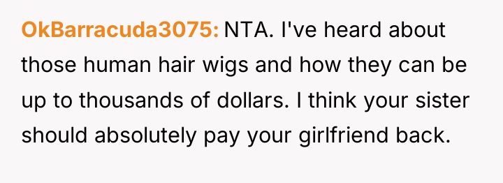 OkBarracuda3075 NTA. I've heard about those human hair wigs and...