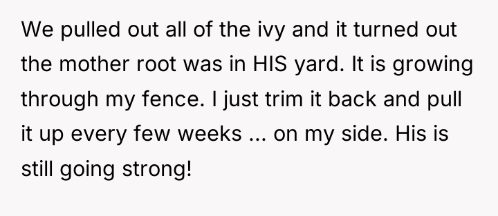 We pulled out all of the ivy and it turned...