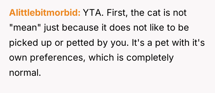 Alittlebitmorbid YTA. First, the cat is not "mean" just because...
