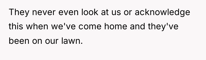 They never even look at us or acknowledge this when...
