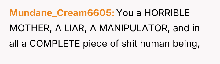 Mundane_Cream6605 You a HORRIBLE MOTHER, A LIAR, A MANIPULATOR, and...