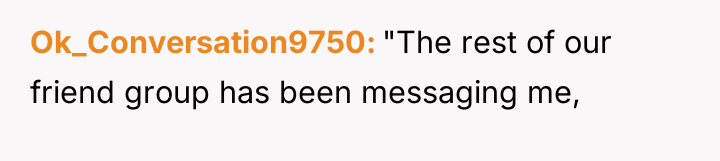 Ok_Conversation9750 "The rest of our friend group has been messaging...