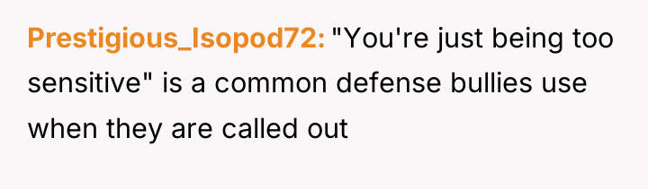 Prestigious_Isopod72 "You're just being too sensitive" is a common defense...