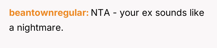 beantownregular NTA - your ex sounds like a nightmare.