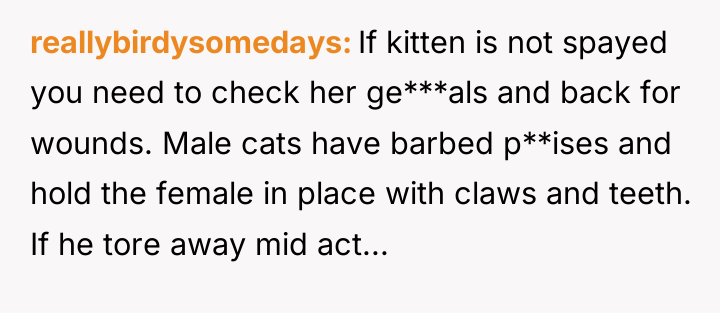 reallybirdysomedays If kitten is not spayed you need to check...