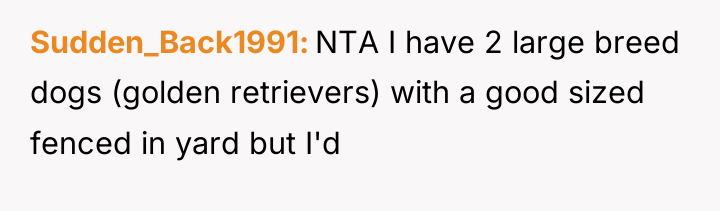 Sudden_Back1991 NTA I have 2 large breed dogs (golden retrievers)...