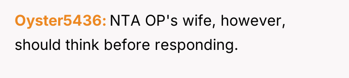 Oyster5436 NTA OP's wife, however, should think before responding.