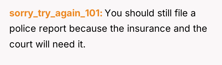 sorry_try_again_101 You should still file a police report because the...
