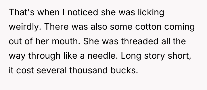 That's when I noticed she was licking weirdly. There was...