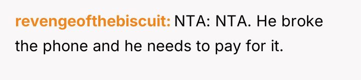 revengeofthebiscuit NTA: NTA. He broke the phone and he needs...
