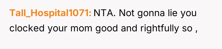 Tall_Hospital1071 NTA. Not gonna lie you clocked your mom good...