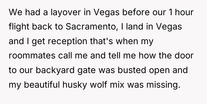 We had a layover in Vegas before our 1 hour...