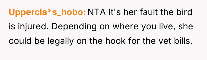 Uppercla*s_hobo NTA It's her fault the bird is injured. Depending...