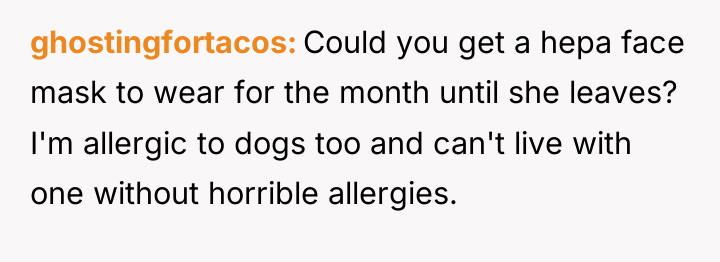 ghostingfortacos Could you get a hepa face mask to wear...