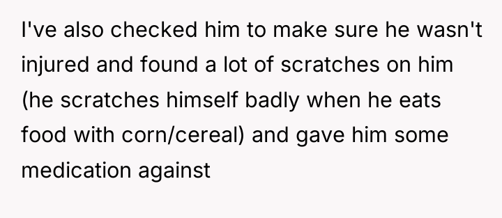 I've also checked him to make sure he wasn't injured...