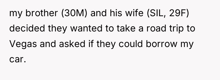 my brother (30M) and his wife (SIL, 29F) decided they...