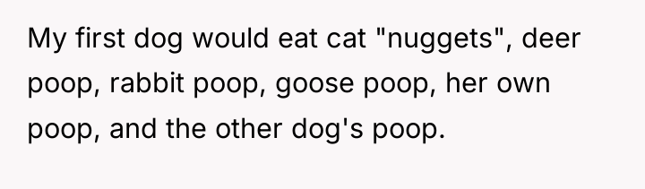 My first dog would eat cat "nuggets", deer poop, rabbit...