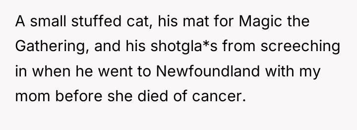 A small stuffed cat, his mat for Magic the Gathering,...