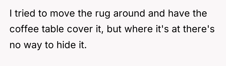 I tried to move the rug around and have the...