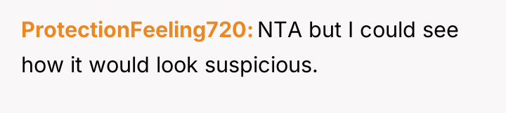ProtectionFeeling720 NTA but I could see how it would look...