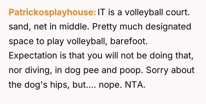 Patrickosplayhouse IT is a volleyball court. sand, net in middle....