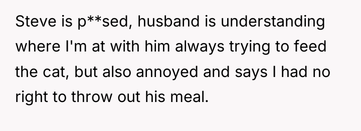 Steve is p**sed, husband is understanding where I'm at with...