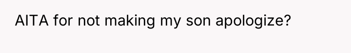 AITA for not making my son apologize?