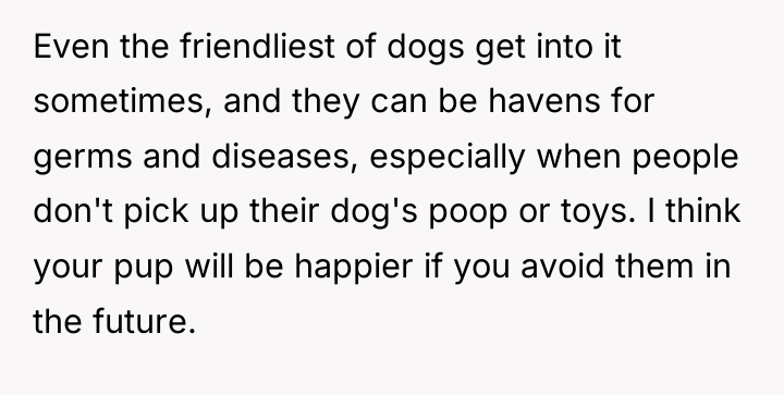 Even the friendliest of dogs get into it sometimes, and...