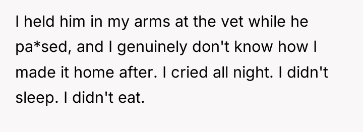 I held him in my arms at the vet while...