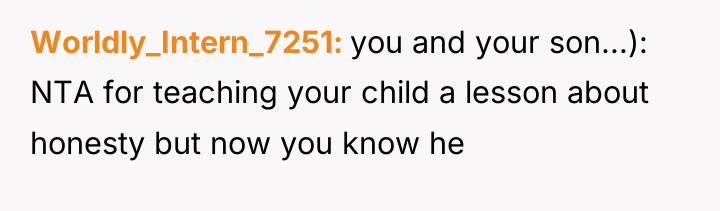 Worldly_Intern_7251 you and your son...): NTA for teaching your child...