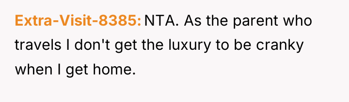 Extra-Visit-8385 NTA. As the parent who travels I don't get...