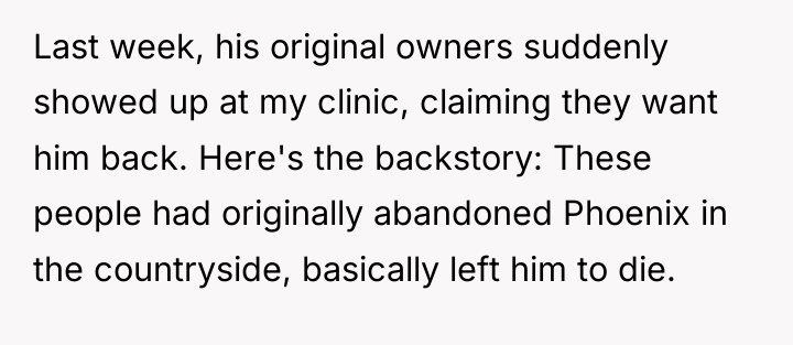 Last week, his original owners suddenly showed up at my...