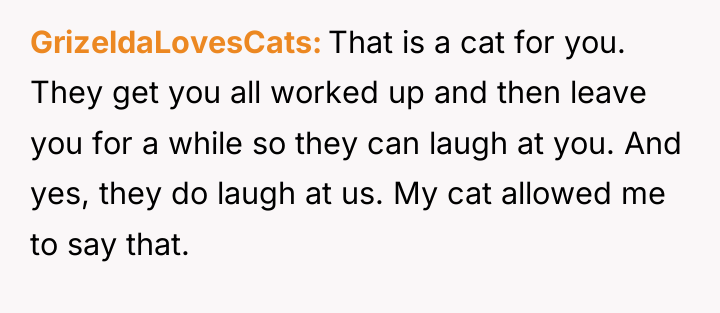 GrizeldaLovesCats That is a cat for you. They get you...