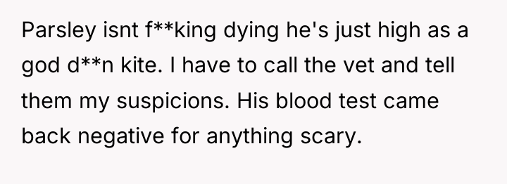 Parsley isnt f**king dying he's just high as a god...