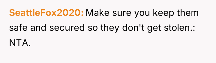 SeattleFox2020 Make sure you keep them safe and secured so...