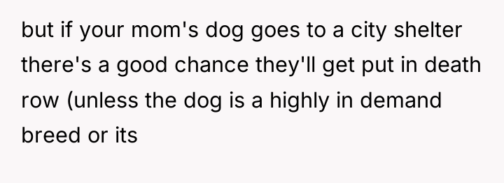 but if your mom's dog goes to a city shelter...