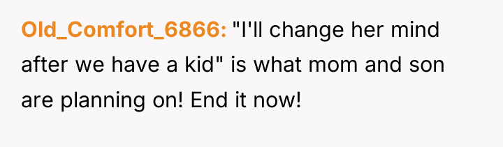 Old_Comfort_6866 "I'll change her mind after we have a kid"...