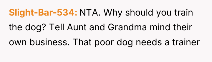 Slight-Bar-534 NTA. Why should you train the dog? Tell Aunt...
