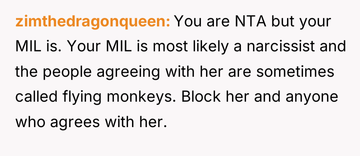 zimthedragonqueen You are NTA but your MIL is. Your MIL...
