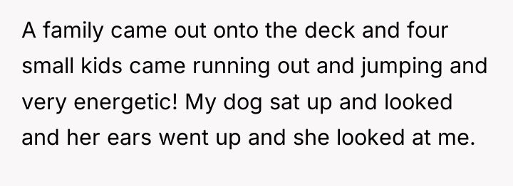 A family came out onto the deck and four small...