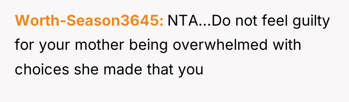 Worth-Season3645 NTA...Do not feel guilty for your mother being overwhelmed...